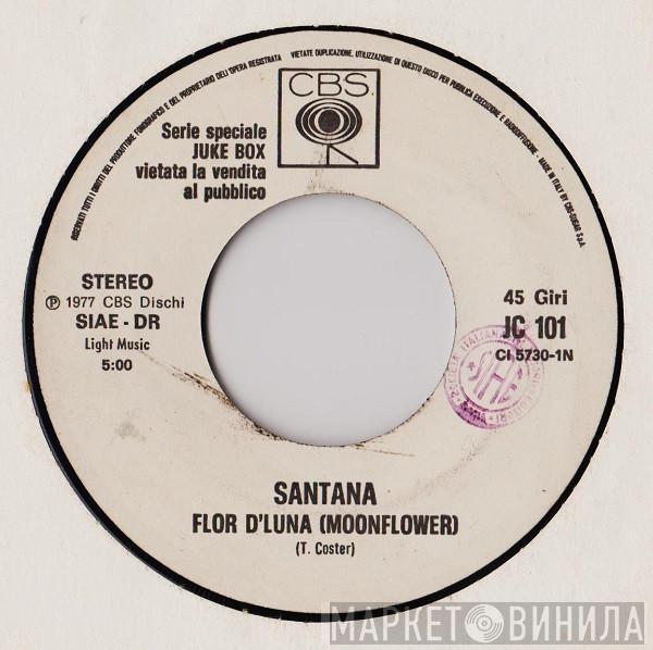  Santana  - Flor D'Luna = Moonflower