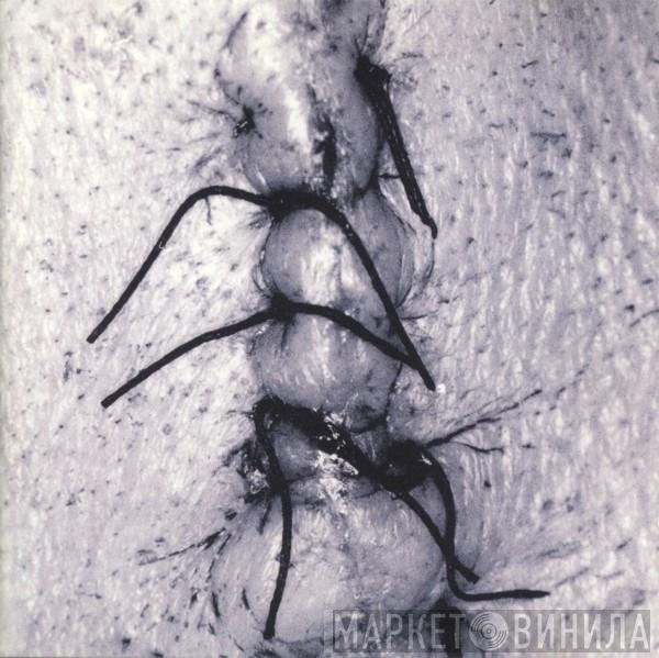 Scheer - Infliction