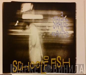School Of Fish - 3 Strange Days