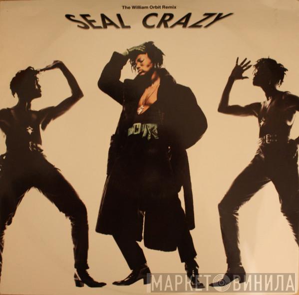 Seal - Crazy (The William Orbit Remix)