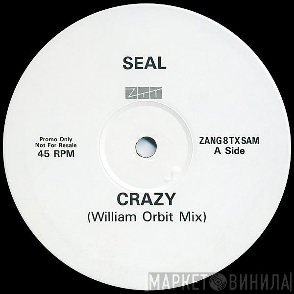 Seal - Crazy (William Orbit Remix)