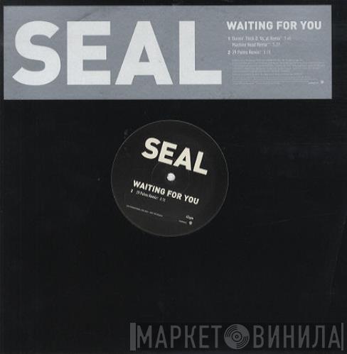 Seal - Waiting For You