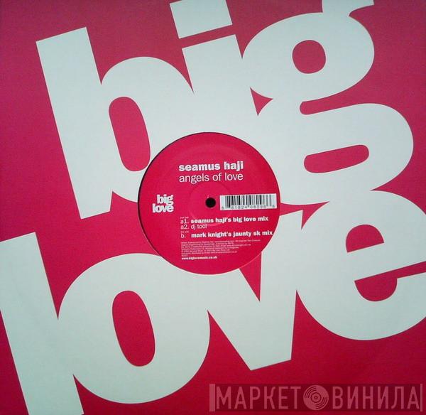 Seamus Haji - Angels Of Love