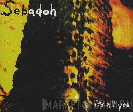Sebadoh - It's All You