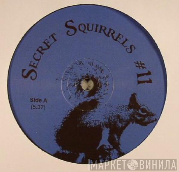 Secret Squirrel  - Secret Squirrels #11