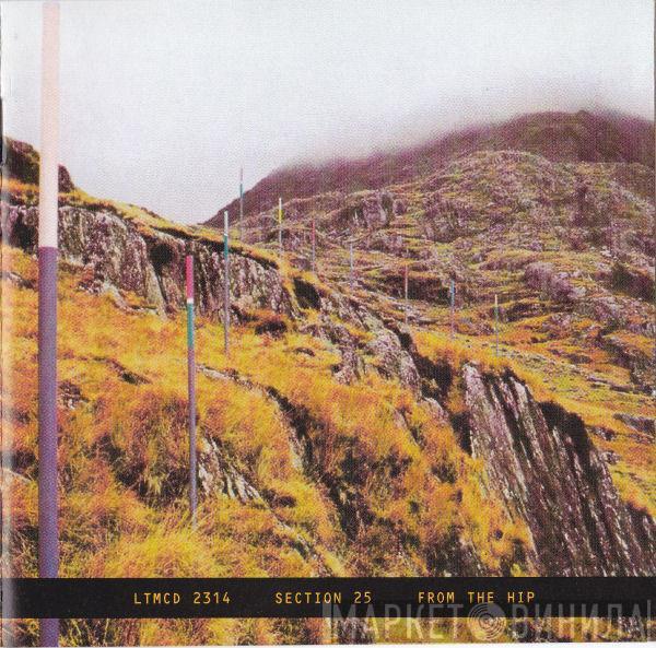  Section 25  - From The Hip