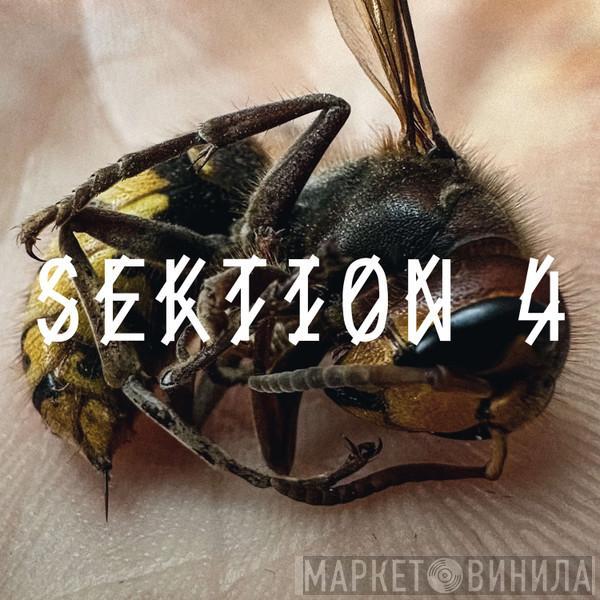  - Sektion 4