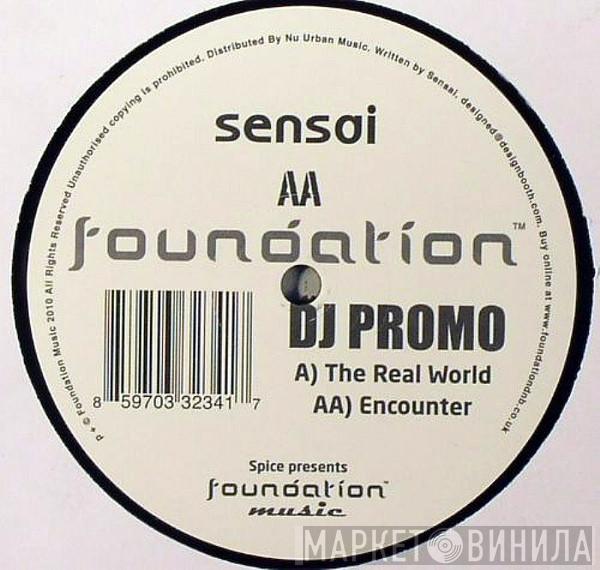 Sensai - The Real World / Encounter