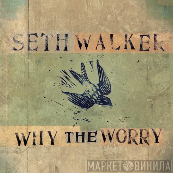 Seth Walker  - Why The Worry