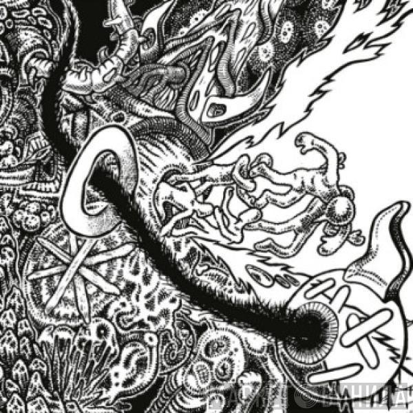 Shackleton - Music For The Quiet Hour / The Drawbar Organ EPs