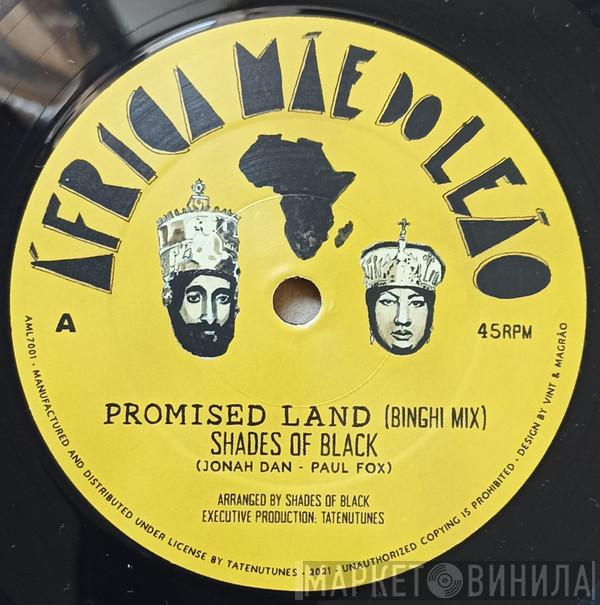 Shades Of Black  - Promised Land (Binghi Mix)