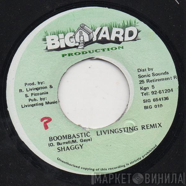  Shaggy  - Boombastic (Livingsting Remix)