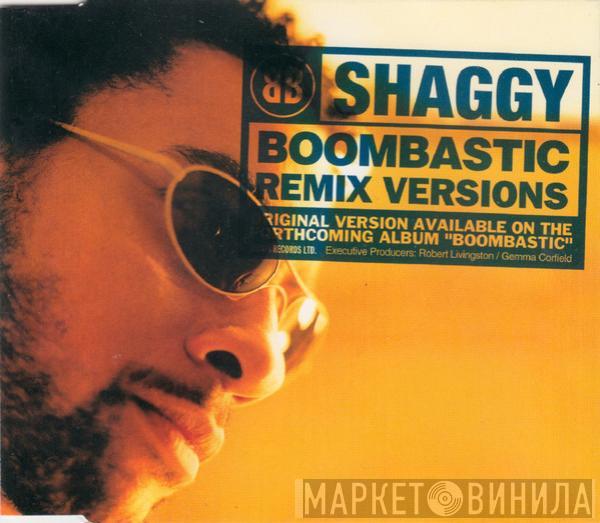  Shaggy  - Boombastic (Remix Versions)