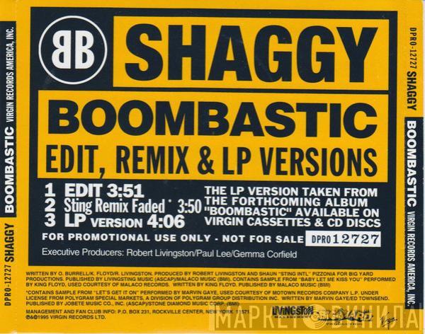  Shaggy  - Boombastic