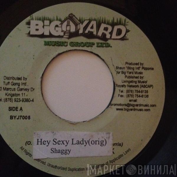 Shaggy, Brian & Tony Gold - Hey Sexy Lady