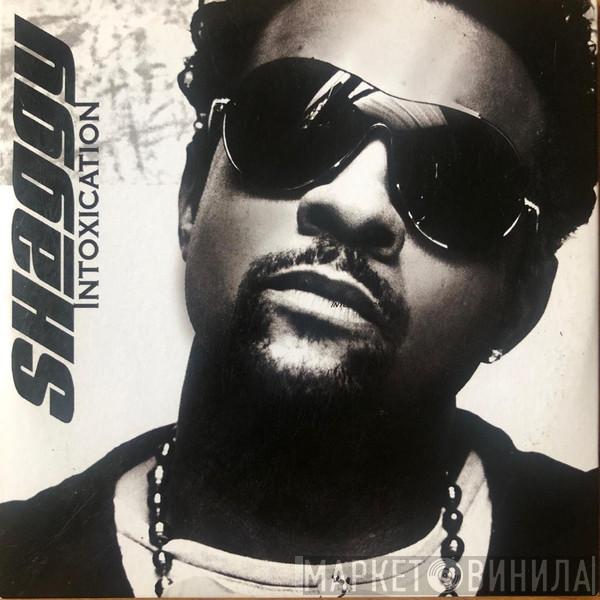  Shaggy  - Intoxication