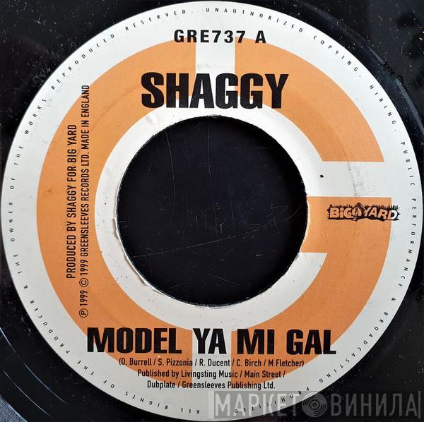 Shaggy - Model Ya Mi Gal