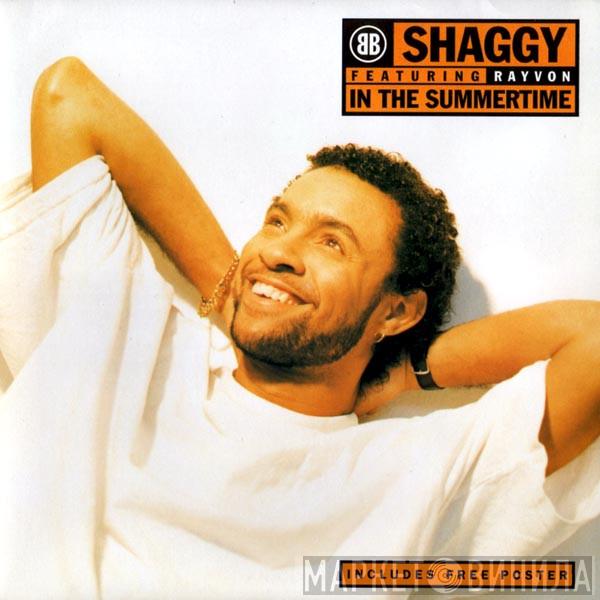 Shaggy, Rayvon - In The Summertime