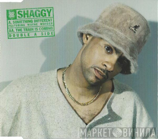 Shaggy - Something Different / The Train Is Coming