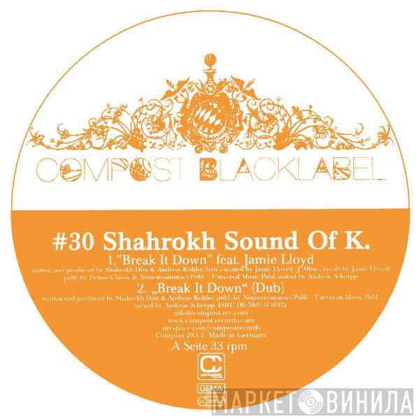 Shahrokh SoundofK - Break It Down