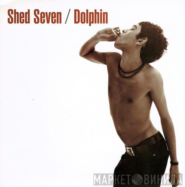 Shed Seven - Dolphin