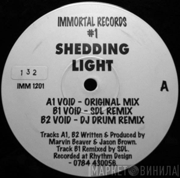 Shedding Light - Void