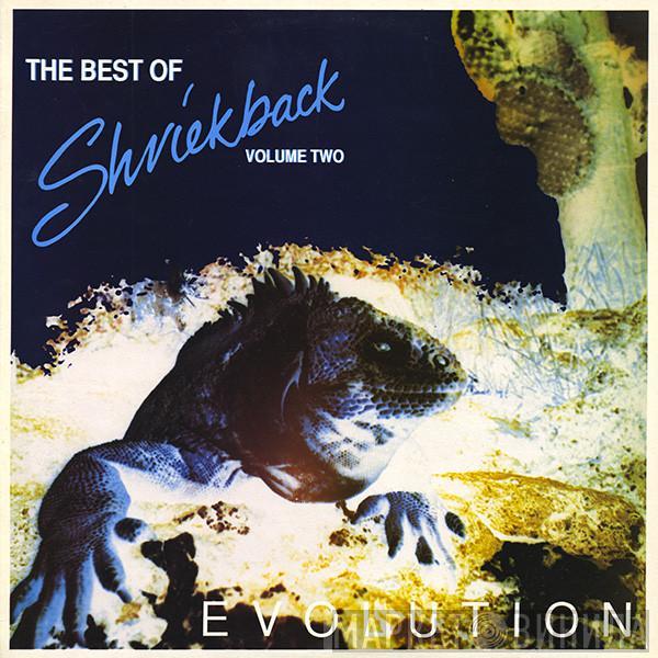 Shriekback - The Best Of Shriekback Volume Two: Evolution
