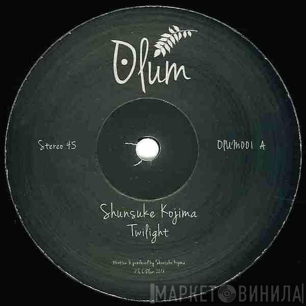 Shunsuke Kojima - Twilight