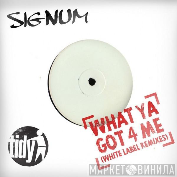  Signum  - What Ya Got 4 Me (White Label Remixes)