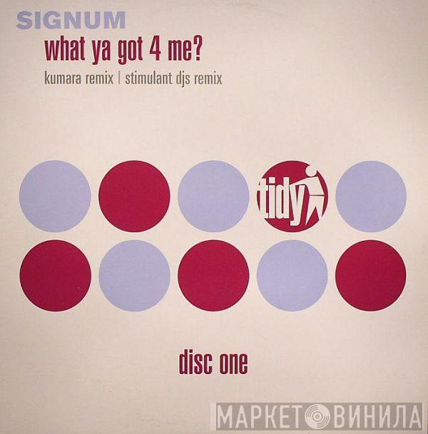 Signum - What Ya Got 4 Me?