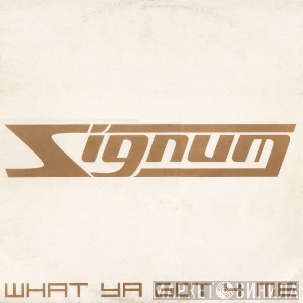 Signum - What Ya Got 4 Me