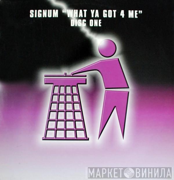  Signum  - What Ya Got 4 Me