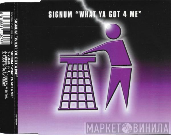  Signum  - What Ya Got 4 Me