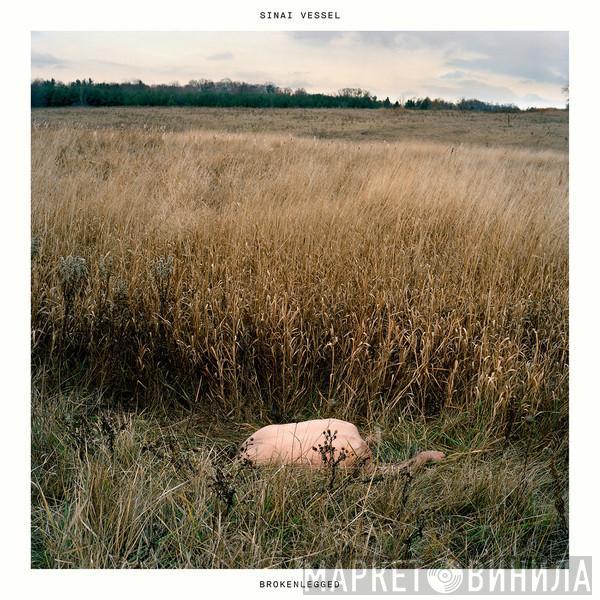 Sinai Vessel - Brokenlegged