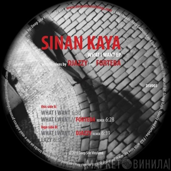 Sinan Kaya - What I Want EP