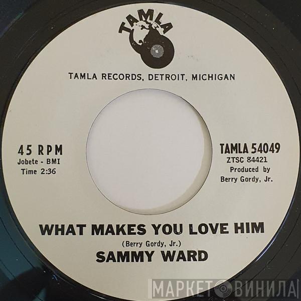 Singin' Sammy Ward - Don't Take It Away / What Makes You Love Him