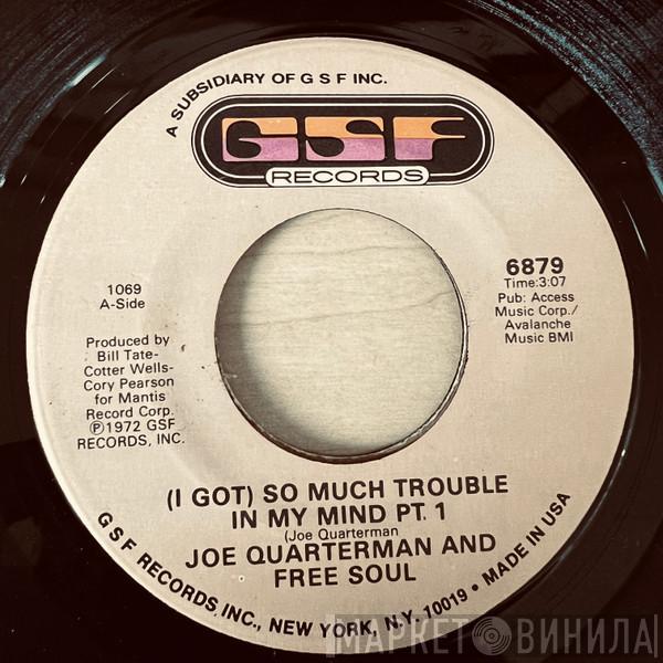  Sir Joe Quarterman & Free Soul  - (I Got) So Much Trouble In My Mind