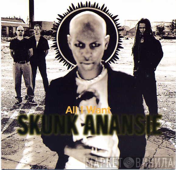 Skunk Anansie  - All I Want