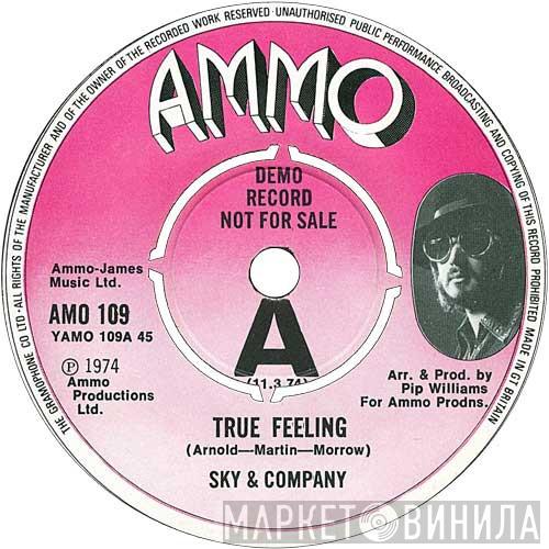 Skye & Company - True Feeling