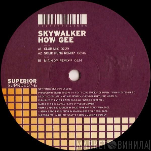 Skywalker  - How Gee