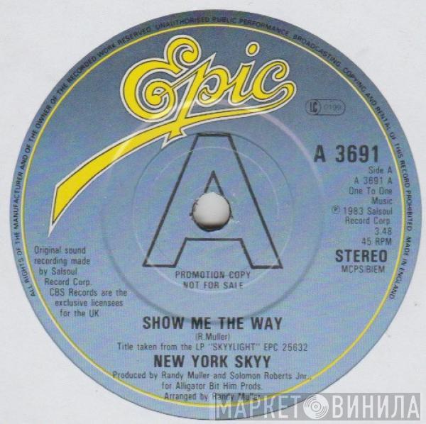 Skyy - Show Me The Way