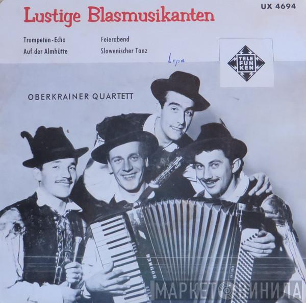  Slavko Avsenik Und Seine Original Oberkrainer  - Lustige Blasmusikanten