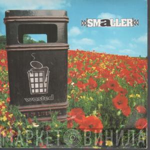 Smaller - Wasted