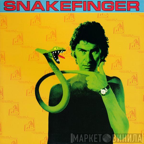 Snakefinger - Chewing Hides The Sound