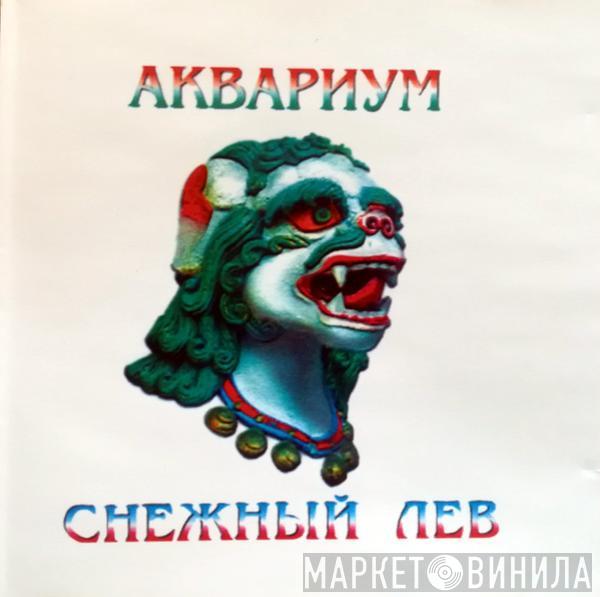 Аквариум - Снежный Лев