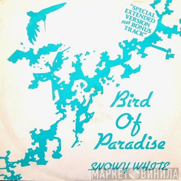 Snowy White - Bird Of Paradise