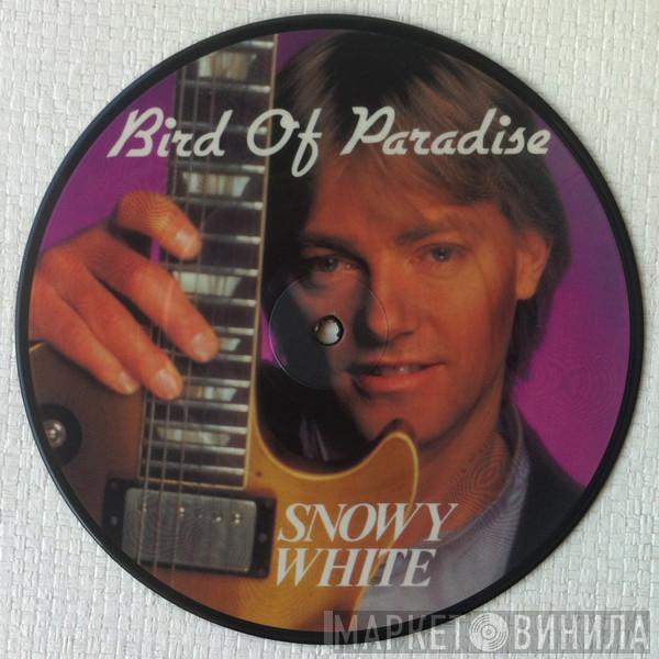  Snowy White  - Bird Of Paradise