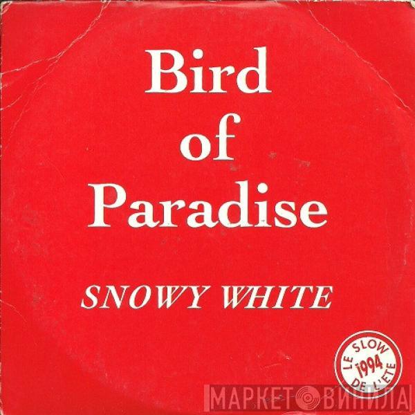  Snowy White  - Bird Of Paradise