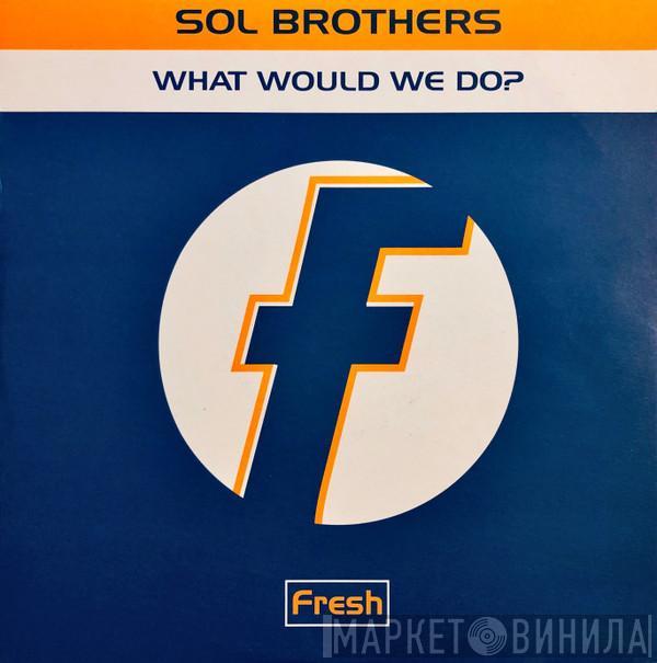 Sol Brothers - What Would We Do?