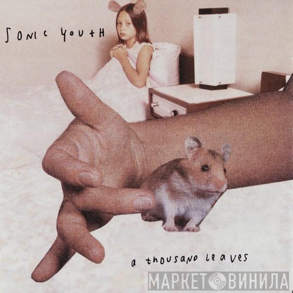 Sonic Youth - A Thousand Leaves